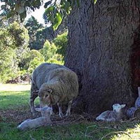 Margaret House - Maitland Accommodation 4