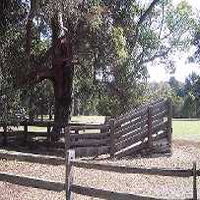 Margaret House - Maitland Accommodation 5