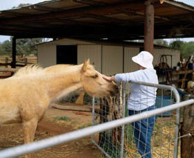  Maitland Accommodation