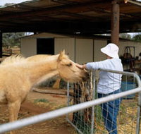 Nallan Station - Maitland Accommodation