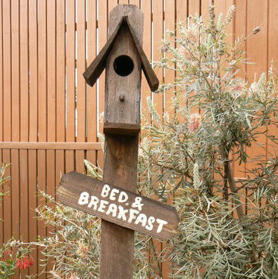 Ashby Cottage - Maitland Accommodation 0