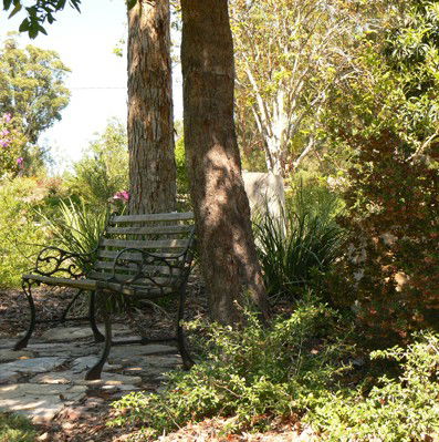 Ashby Cottage - Maitland Accommodation 3