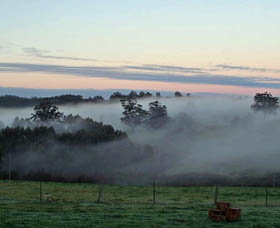 Pump Hill Farm Cottages - Maitland Accommodation 1