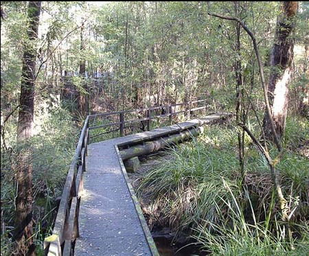 Misty Valley Country Cottages - Maitland Accommodation 3