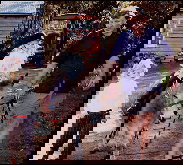 Misty Valley Country Cottages - Maitland Accommodation 4