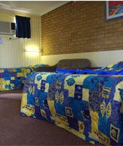 Almare Tourist Motel - Maitland Accommodation 1