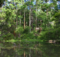 Peppermint Grove Retreat - Maitland Accommodation