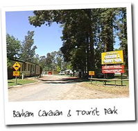 Barham Caravan And Tourist Park - Maitland Accommodation