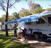 Bega Caravan Park - Maitland Accommodation