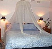 Bondi Beach Garden Sweet - Maitland Accommodation