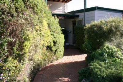 Riverside Cabin Park - Maitland Accommodation 3