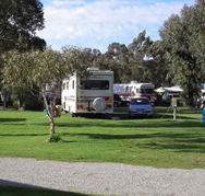 Pinjarra Caravan Park - Maitland Accommodation