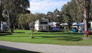 Pinjarra Caravan Park - Maitland Accommodation 0