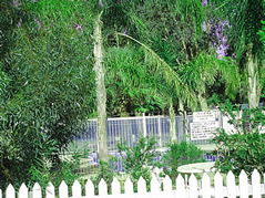 Pinjarra Caravan Park - Maitland Accommodation 3