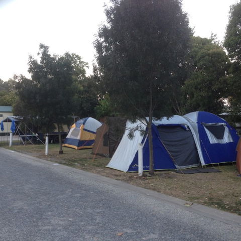 Albury All Seasons Tourist Park - Maitland Accommodation 9