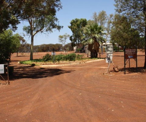 Alice Atkinson Caravan Park - Maitland Accommodation 1