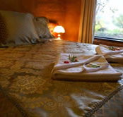 Treenbrook Cottages - Maitland Accommodation