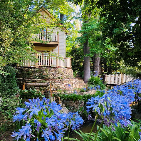 Aldgate Creek Cottage Bed & Breakfast - Maitland Accommodation 0