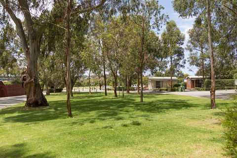 A Maze'N Things Holiday Park And Motel - Maitland Accommodation 0