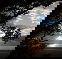 Armstrong Beach Caravan Park - Maitland Accommodation