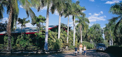 Aurora Kakadu Lodge Camping & Caravan Park - Maitland Accommodation 0