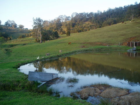 Barkeldine Farm Country Retreat - Maitland Accommodation 0