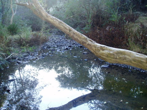 Barkeldine Farm Country Retreat - Maitland Accommodation 1