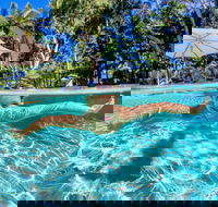 BIG4 Ballina Headlands Holiday Park - Maitland Accommodation