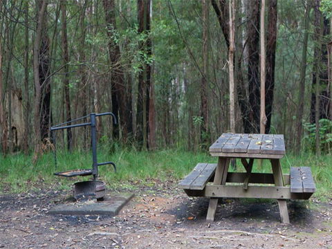 Boundary Falls Campground And Picnic Area - Maitland Accommodation 0