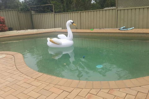 Landy's Holiday House - Maitland Accommodation 0