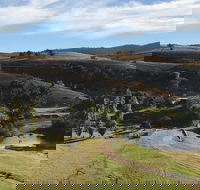 Paradise Valley Camping Park - Maitland Accommodation