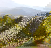 Rosetta's Garden Guesthouse - Maitland Accommodation