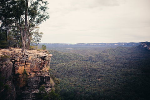 Sandstone Park Carnarvon Gorge - Maitland Accommodation 1