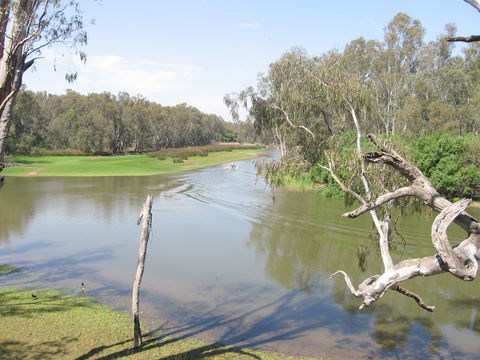 The Shanty Waterside Cottages - Maitland Accommodation 0