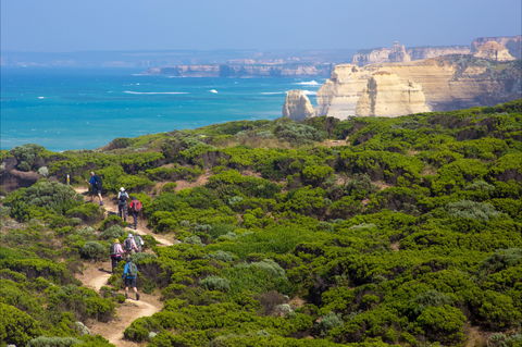 Twelve Apostles Lodge Walk - Maitland Accommodation 0