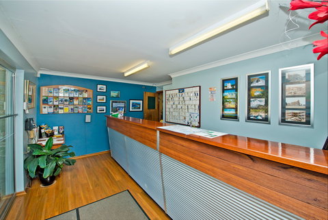 Albany Holiday Park - Maitland Accommodation 1