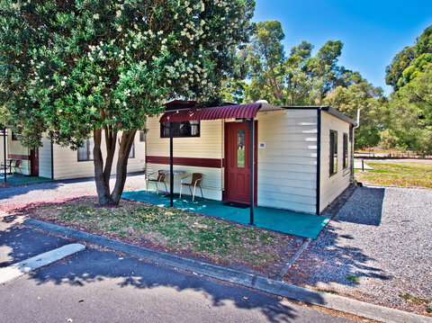 Albany Holiday Park - Maitland Accommodation 2