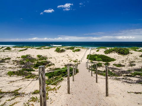 Banksia Green Campground - Maitland Accommodation 2