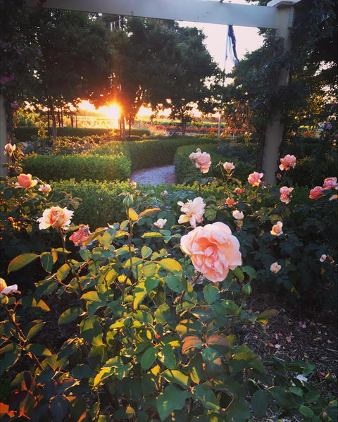 BAROSSA  HOUSE - Maitland Accommodation 1