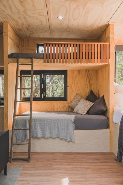 CABN Chloe - Blewitt Springs - Maitland Accommodation 2