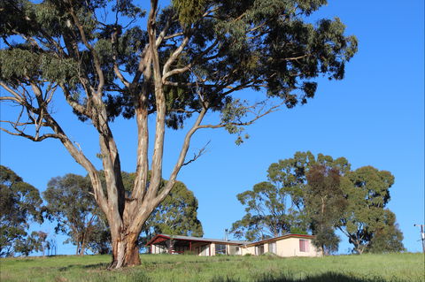 Clare View Accommodation - Clare View Cottage - Maitland Accommodation 2