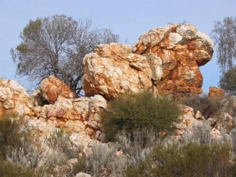 Credo Homestead Camp At Credo Conservation Park - Maitland Accommodation 0