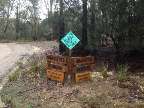Echidna On Bruny - Maitland Accommodation 1