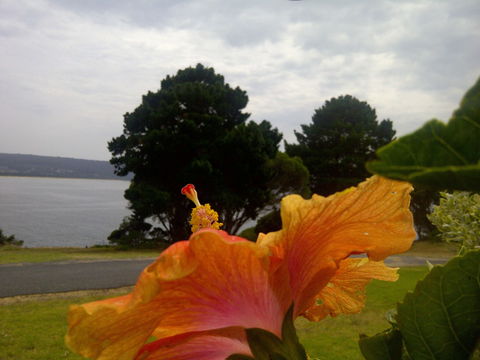 Eden Oceanview - Maitland Accommodation 1