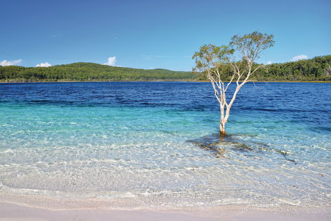 Fraser Island Fishing Units - Maitland Accommodation 0