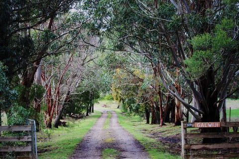 Galwiji Homestead - Maitland Accommodation 1