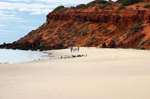 Herald Bight Camp At Francois Peron National Park - Maitland Accommodation 0