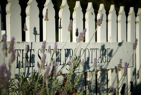 Mayfield Vineyard Cottages - Maitland Accommodation 0