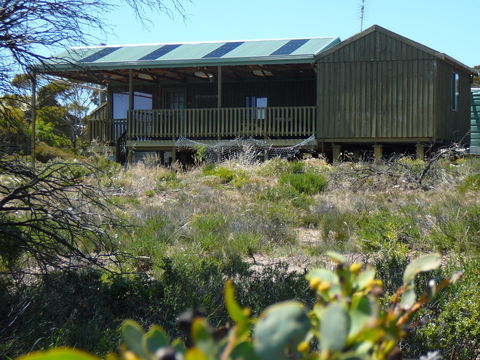 Melaleuca - Eco And Pet Friendly,  Harbor Point Cabins - Maitland Accommodation 0