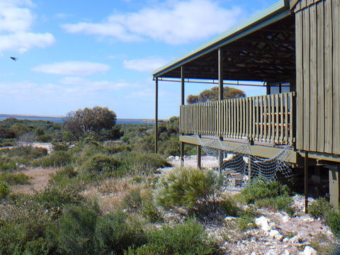 Melaleuca - Eco And Pet Friendly,  Harbor Point Cabins - Maitland Accommodation 1